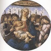 Sandro Botticelli Madonna and Child with eight Angels or Raczinskj Tondo (mk36) oil painting picture wholesale